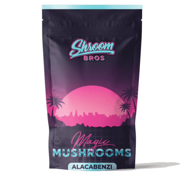 ALACABENZI MAGIC MUSHROOM