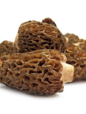 Fresh Frozen Morel Mushrooms