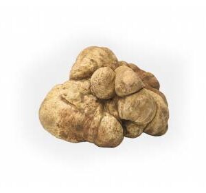 FRESH WHITE TRUFFLE